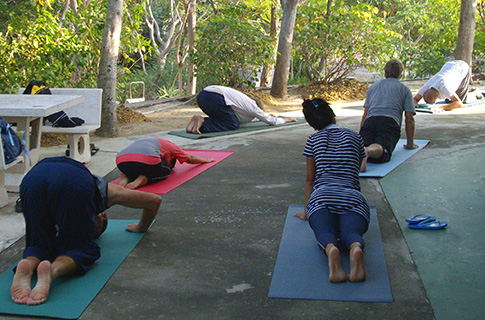 Hatha yoga practice